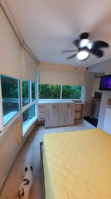 R.501 Estudio Ejecutivo, En El Centro. Panama City Exterior photo
